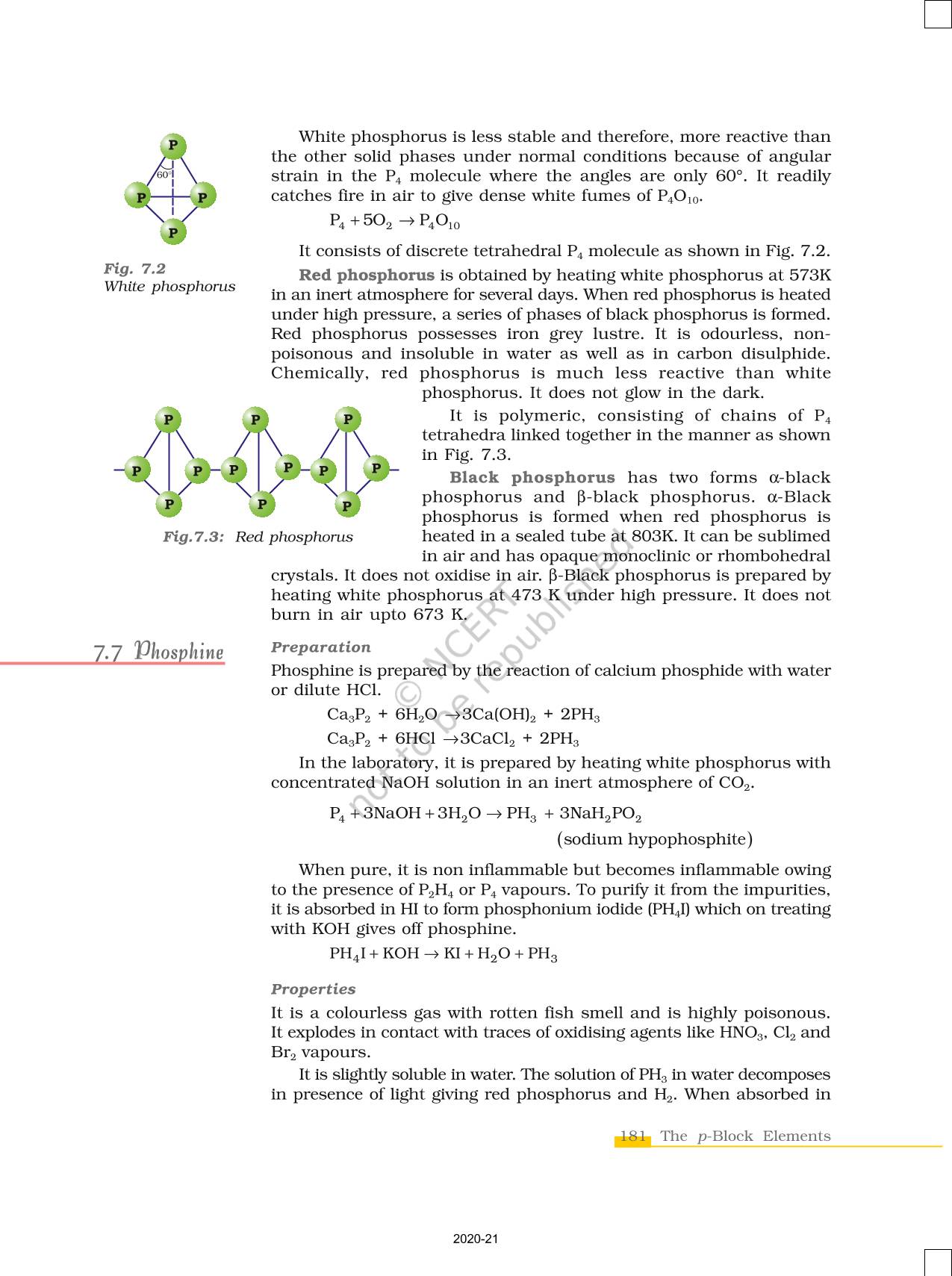 The P Block Elements - NCERT Book Of Class 12 Chemistry Part I